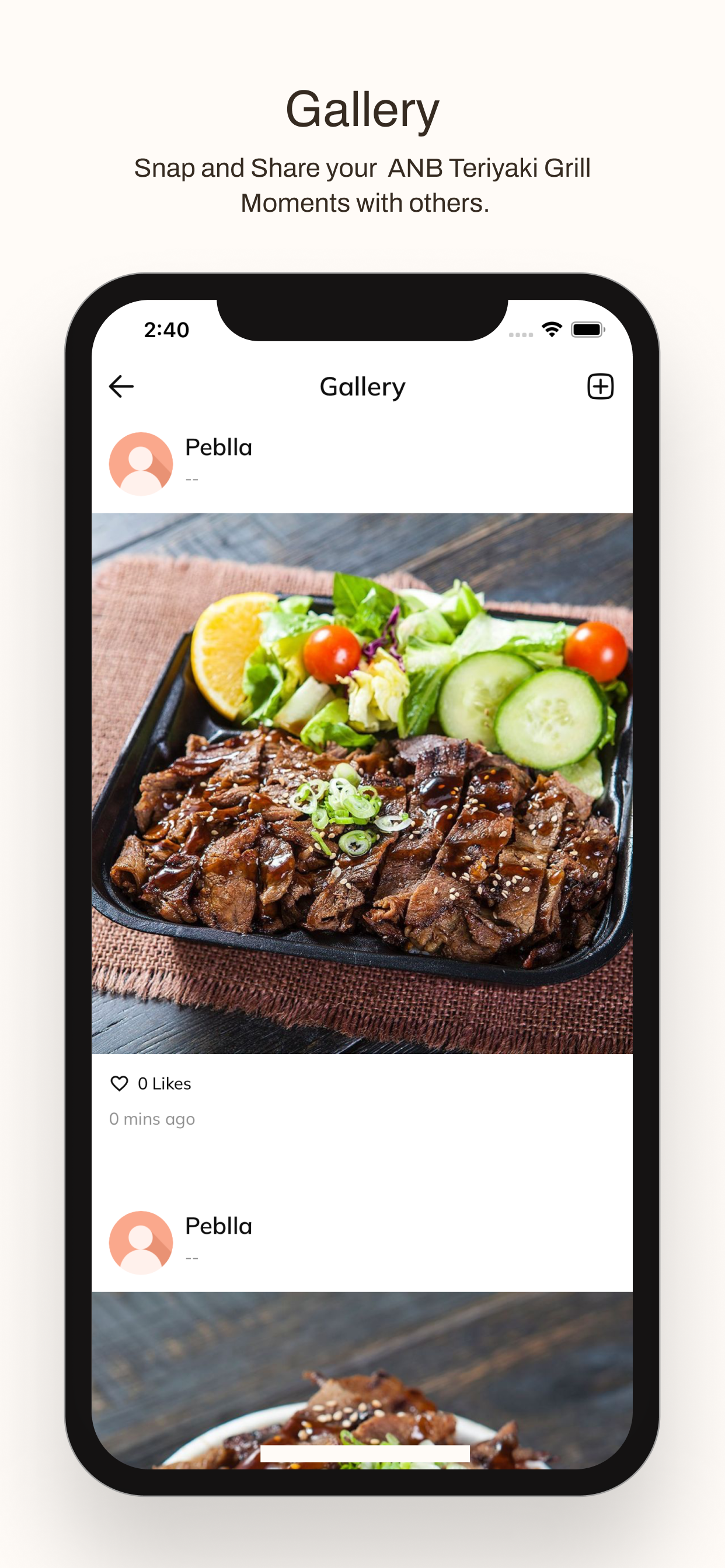 ANB TERIYAKI