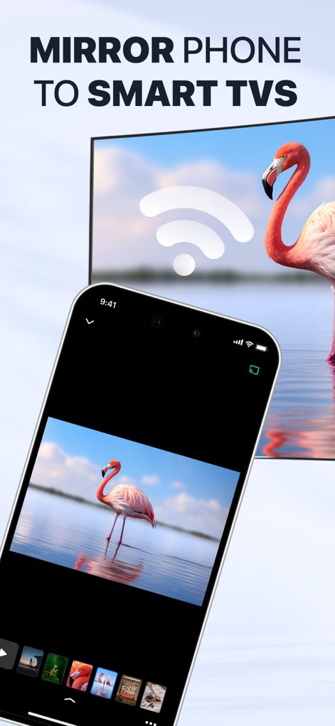 Screen Mirroring・TV Cast View - This tool showcases seamless connection with a clear Wi-Fi symbol and a mirrored flamingo image, ensuring users understand instant content sharing.
