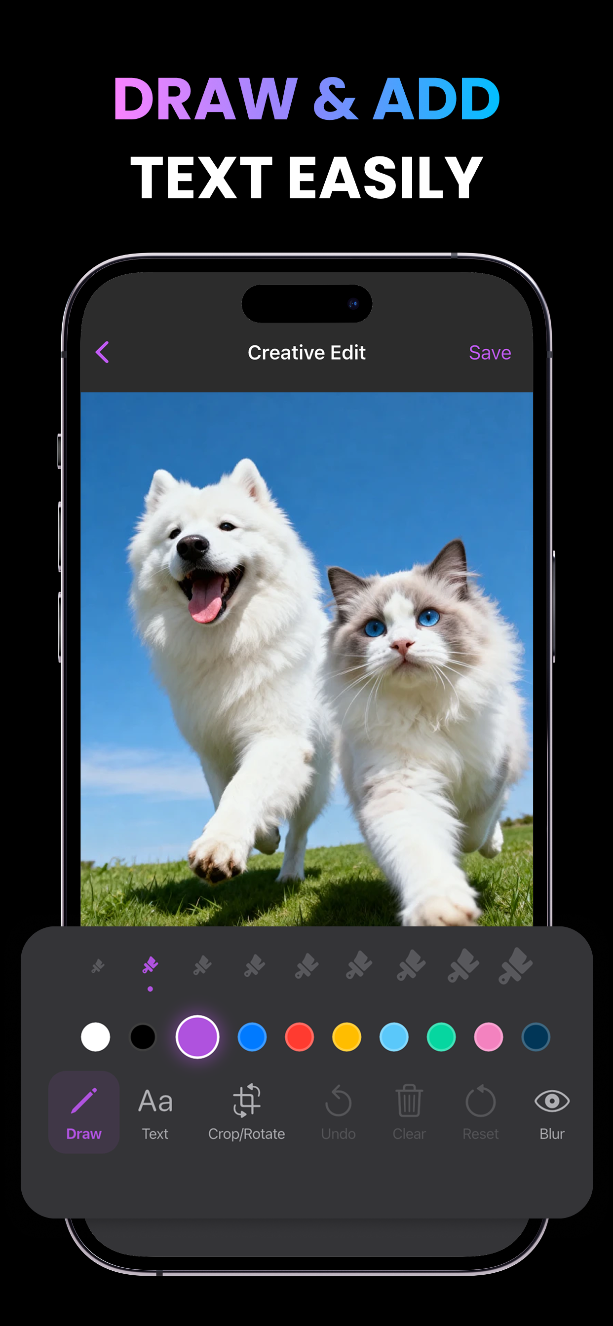 PictoGo: AI Motion Art Studio screenshot 5