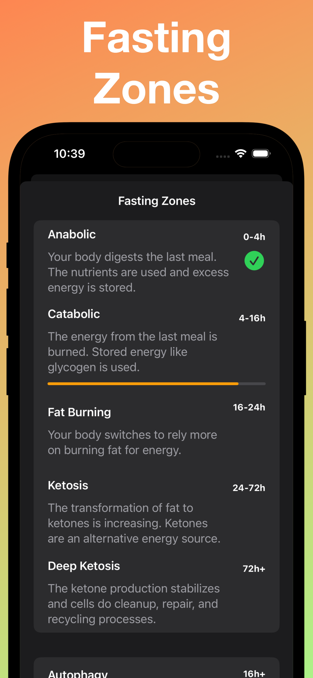 16:8 禁食 轻轻断食 Fasting