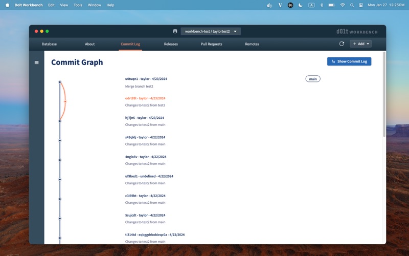 Dolt Workbench screenshot