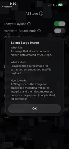AEStego screenshot