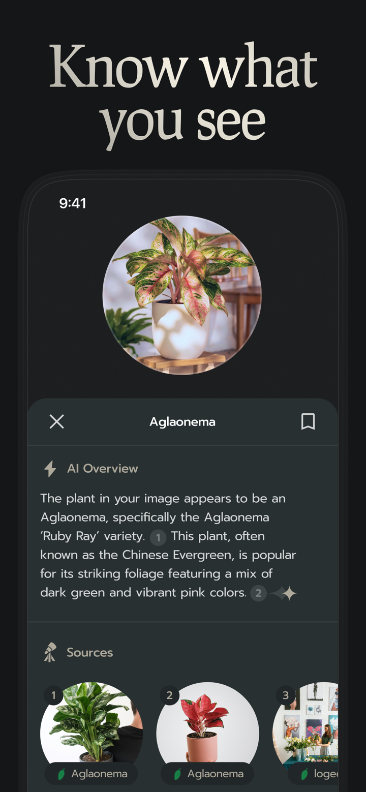 KEPL - AI Camera & Identifier screenshot 3