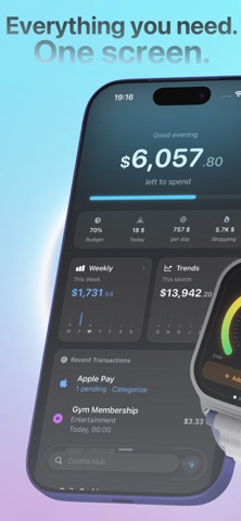 Control: Budget Tracker Screenshot 1 of 10
