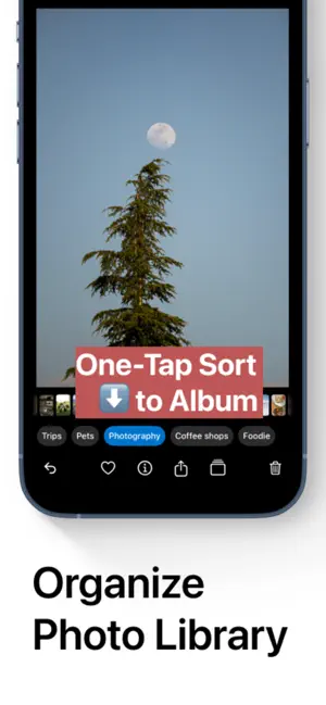 Tidify: Photo Library Cleaner screenshot 3
