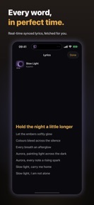 Vivace: Lossless FLAC Player screenshot