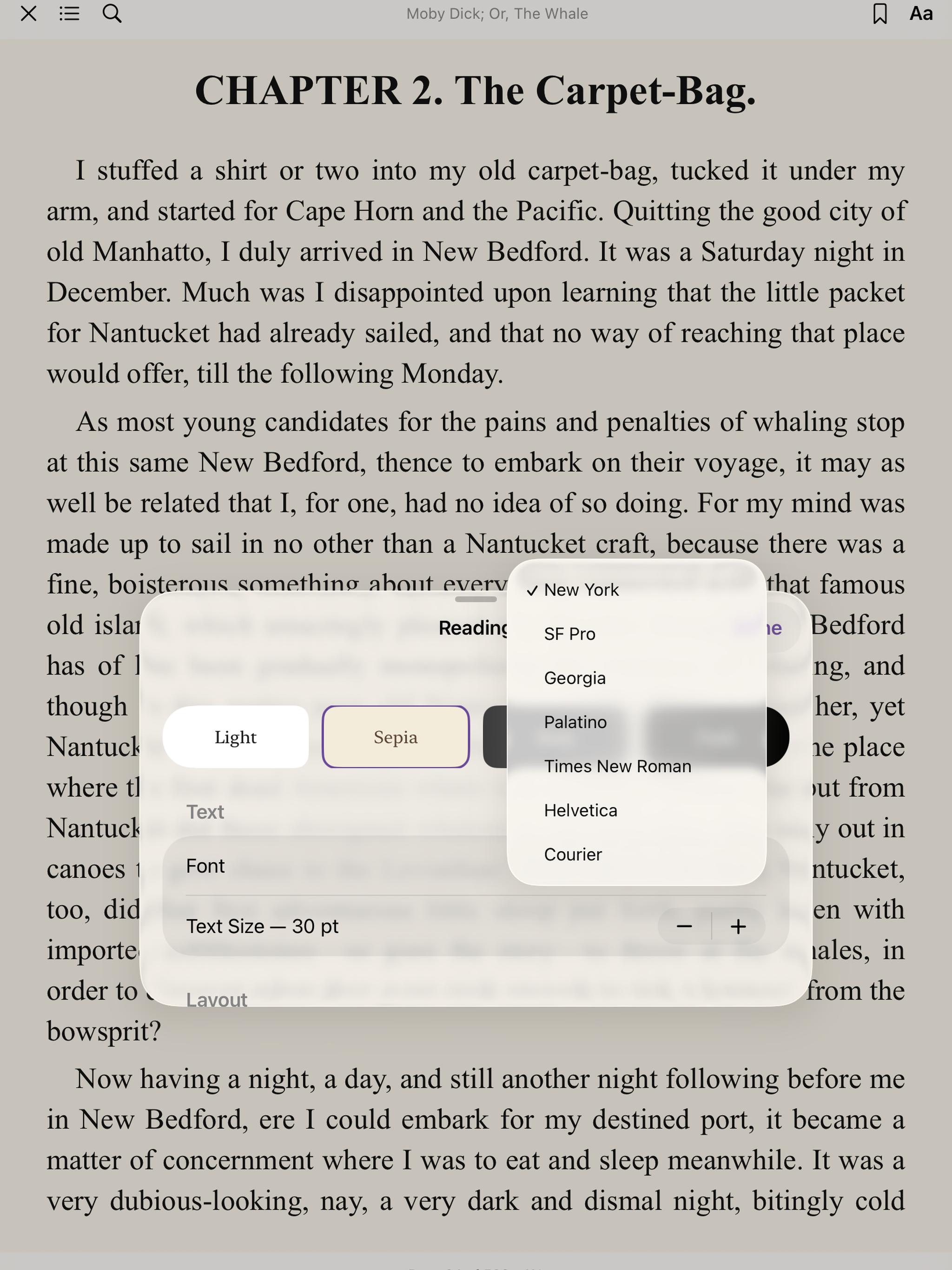 Sutra — eBook Reader screenshot 17