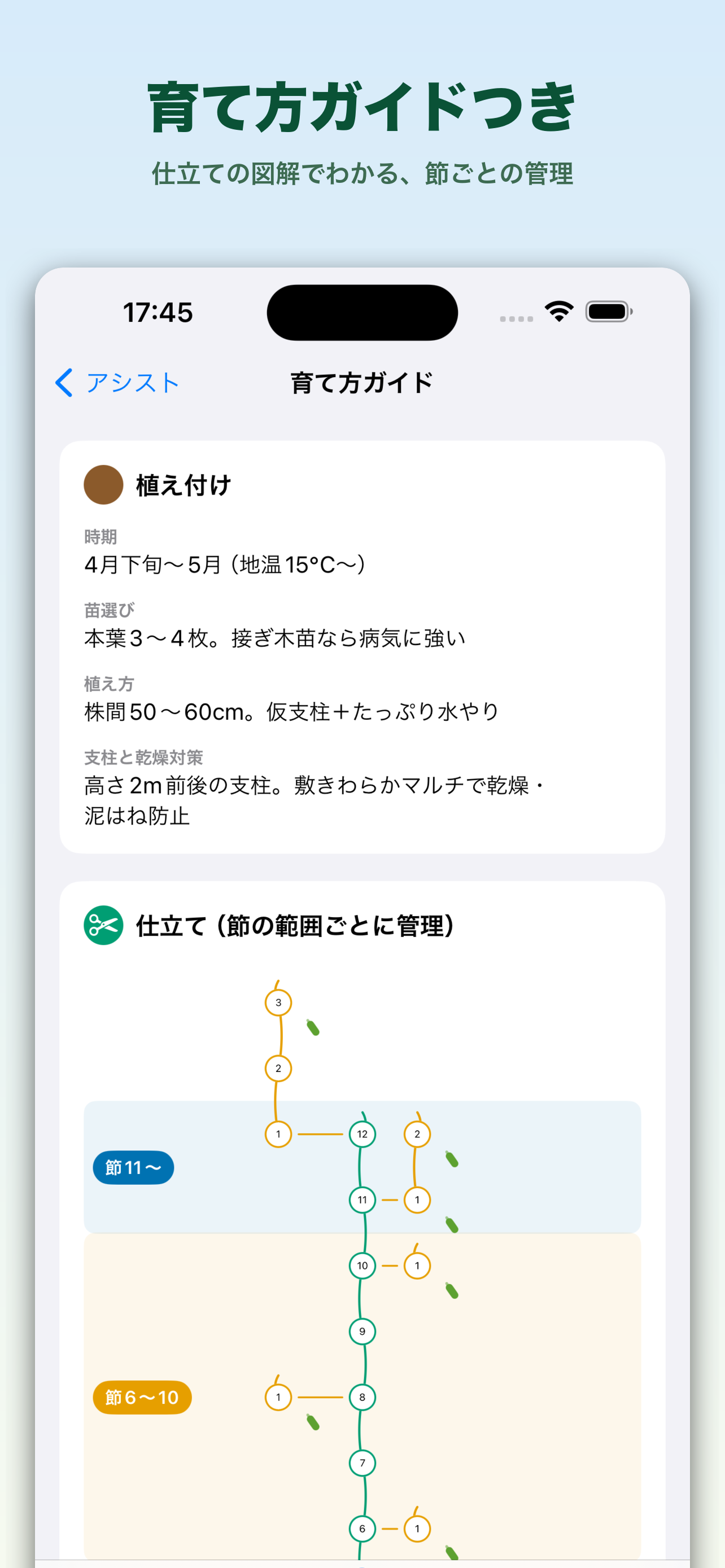 きゅうりの樹 - 収穫を増やす栽培記録 screenshot 5