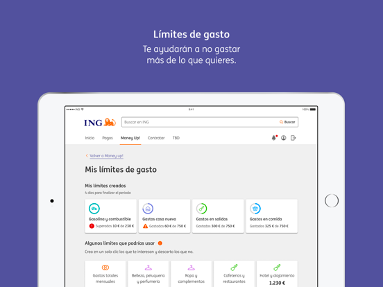 ING - Banca Móvil y Finanzas iPad screenshot 4 - Finance app