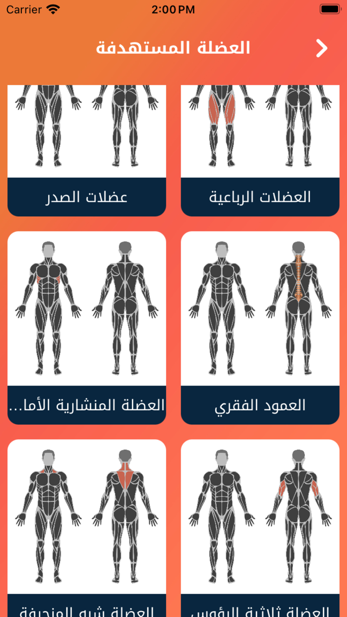 فيت بروتمارين منزلية و للجيم