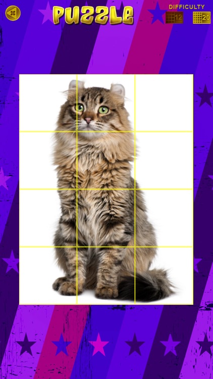 Cat Show 360 screenshot-8