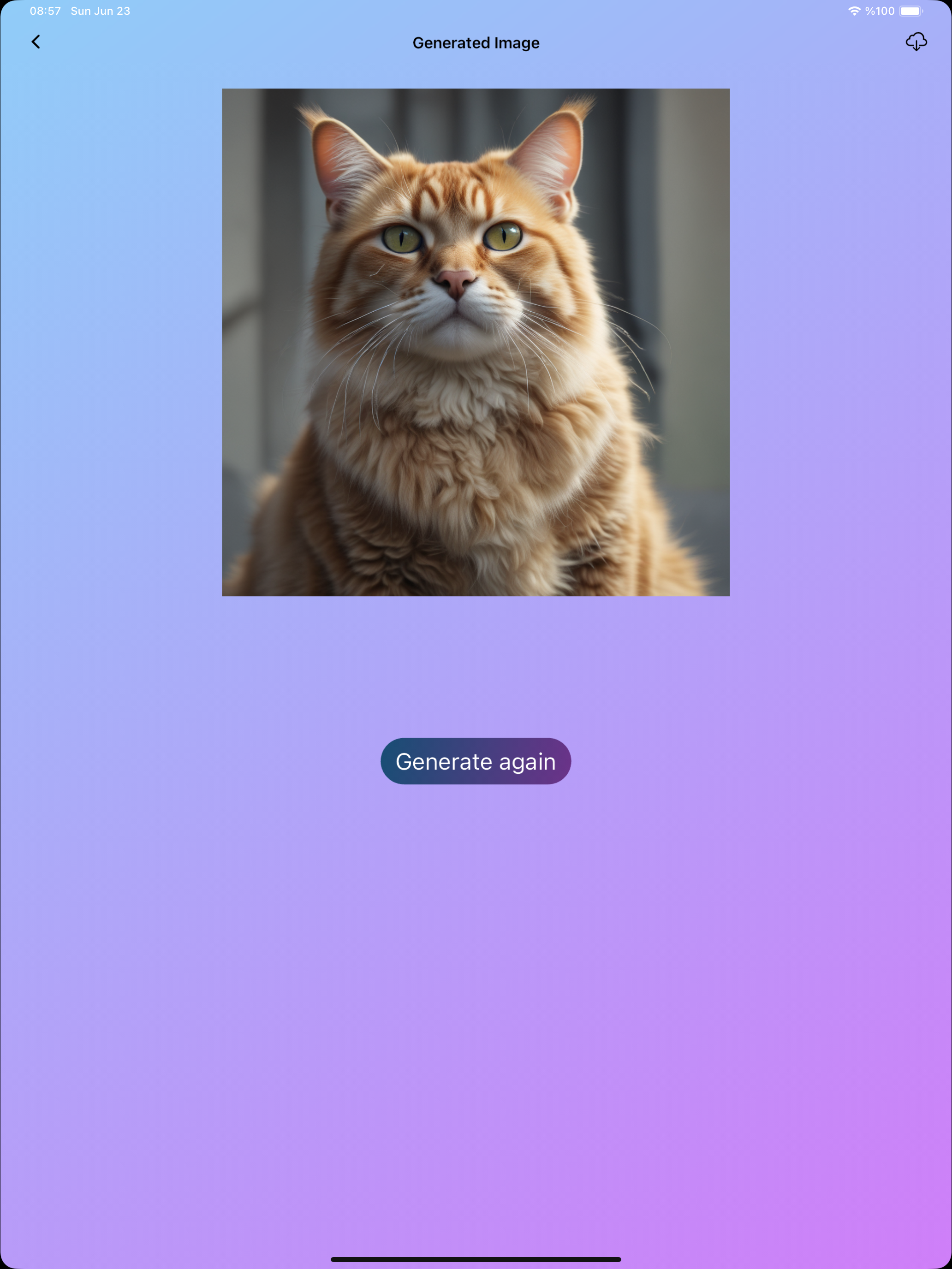 ToonYou: Cartoon AI
