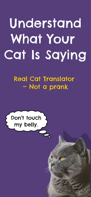 Felingo - Cat Translator screenshot 1