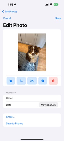 ItsMyDailyPhotoApp screenshot