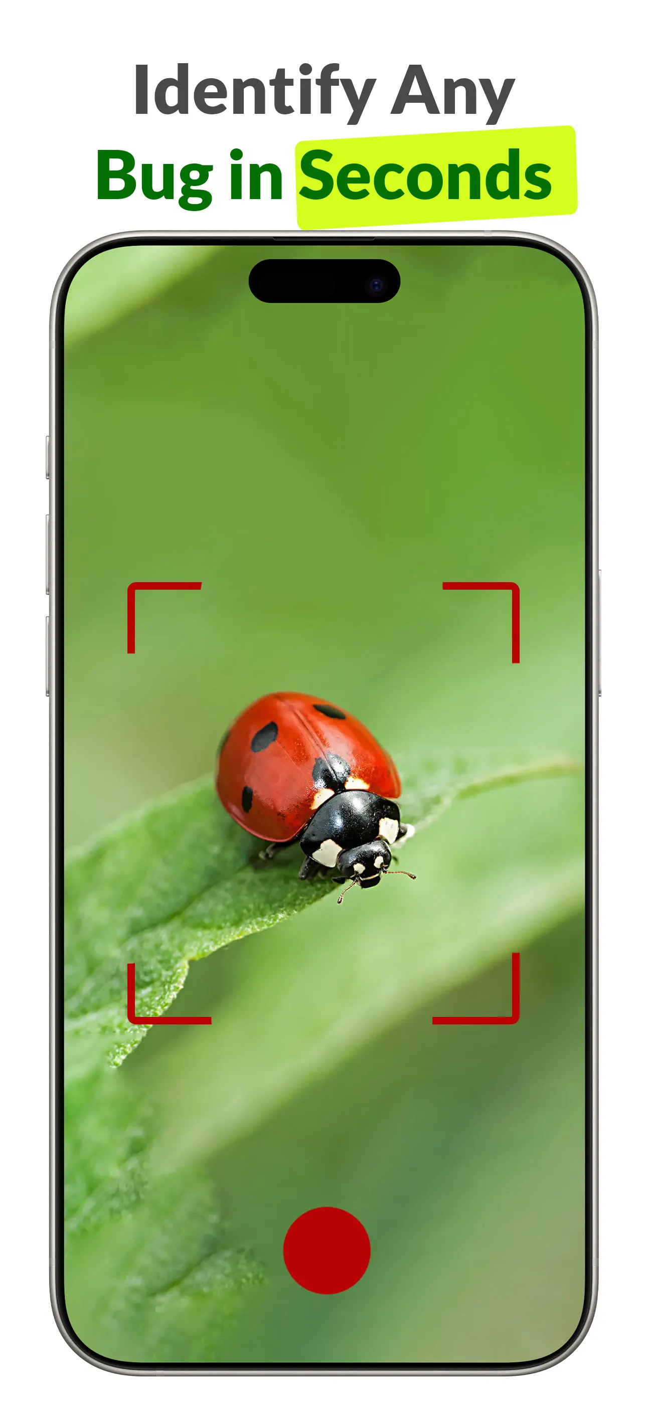 #1. Insects ID: Bug Identifier (iOS) Ved: Isuru Lakmal