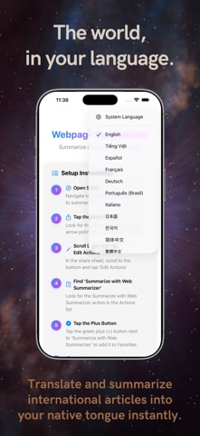 Webpage Summarizer Screenshot 5 of 5