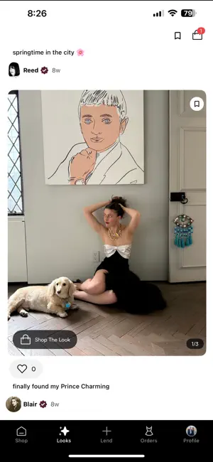 Louvelle screenshot 2