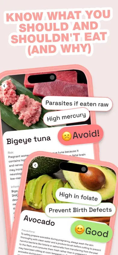 Pregnancy AI Food Companion screenshot 2