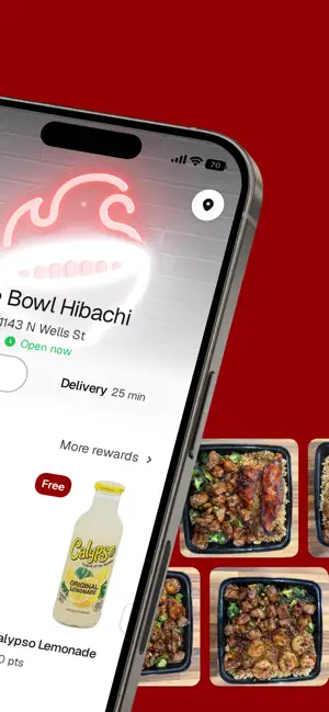 Fire Bowl Hibachi screenshot 2