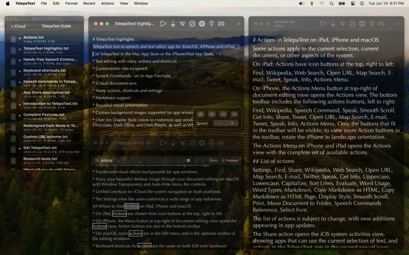 TelepaText - editor, speech screenshot