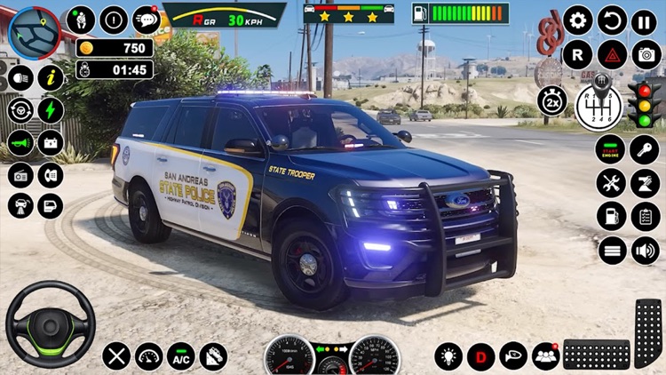 Police Car Chase Cop Car Sim screenshot-5