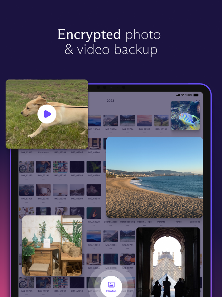 #1. Proton Drive: Cloud Storage (iOS) 由: Proton AG