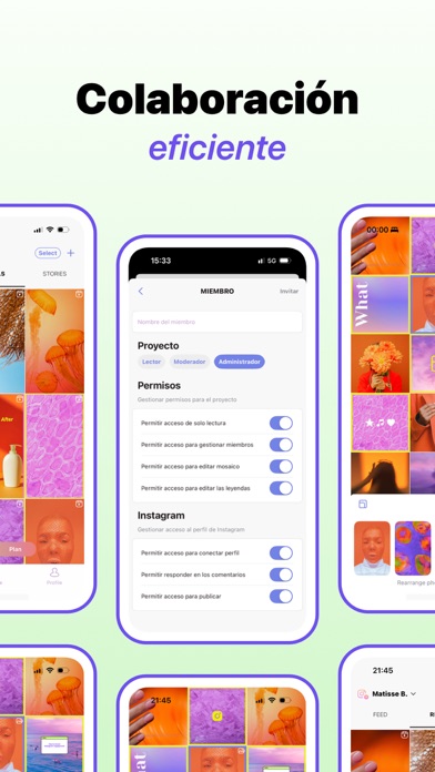 Content Office: Feed para IG