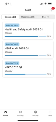 Enablon Audit screenshot