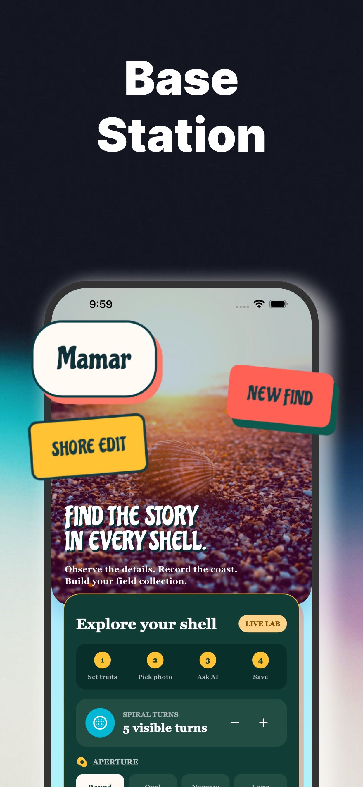 Screenshot 5 of Mamar - Find Shells