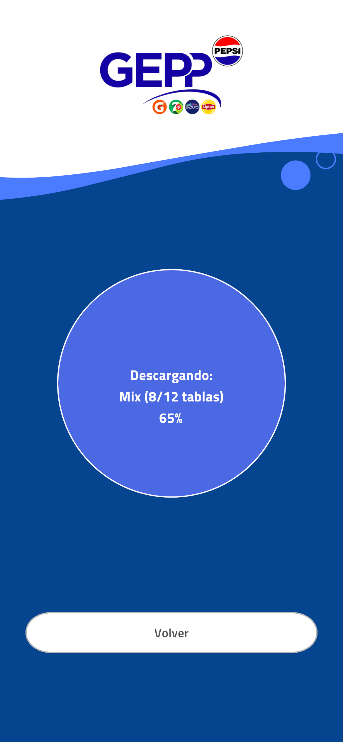 GEPP Ficha Cliente screenshot 3