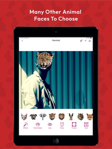 Huminal Animal Face PhotoMakerのおすすめ画像6