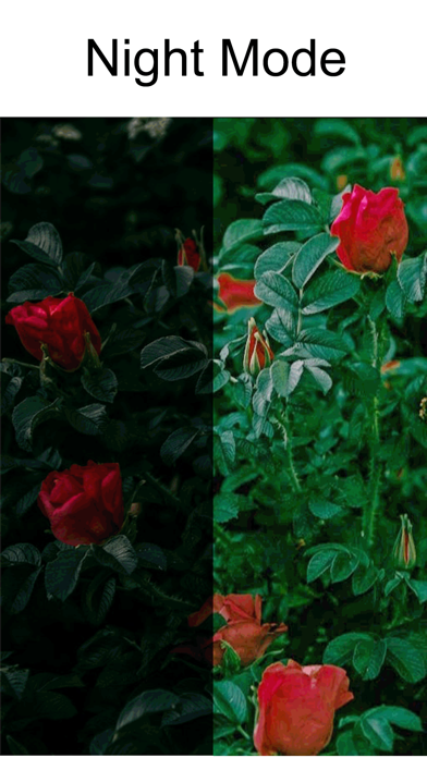 MagiCam: AI Photo Editor Screenshot