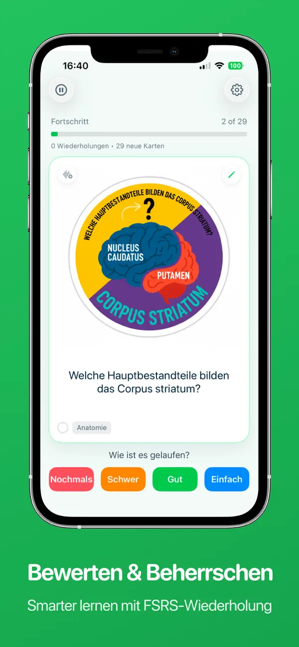 MintDeck: Karteikarten iPhone App Screenshot 4 – Bildung