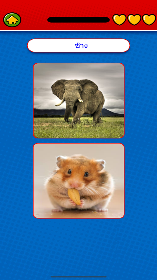 #3. Game to learn Thai Flashcard (iOS) Podle: Duc Tang Van