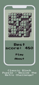 Block Puzzle - Retro screenshot