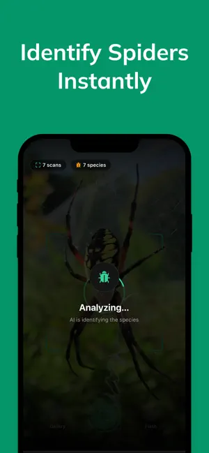 Spider Species Identifier screenshot 1