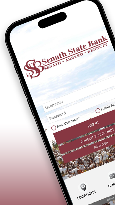 Senath State Bank Screenshot