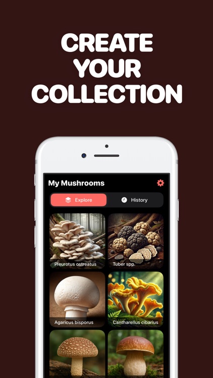 Identify Mushrooms with AI