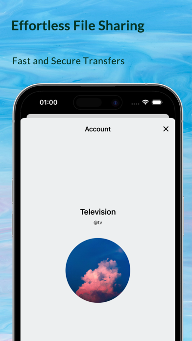 Television Screenshot