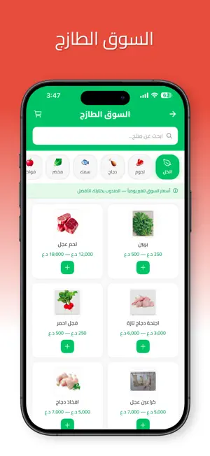 جيبلي الجزيرة screenshot 2