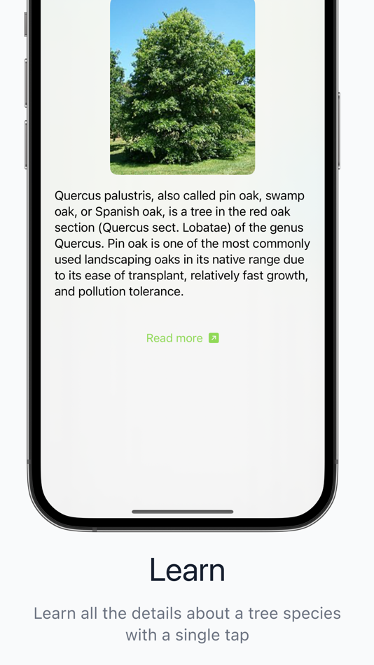 #4. Trees in Hamburg (iOS) 由: Mert Bulan