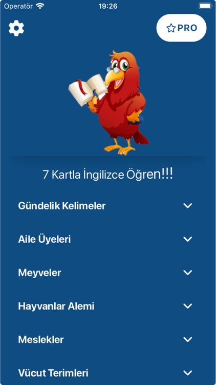 7 Kartla İngilizce