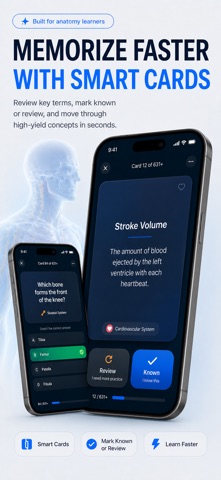 Anatomy & Physiology Learning iPhone screenshot