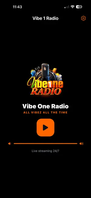 Vibe 1 Radio screenshot 1
