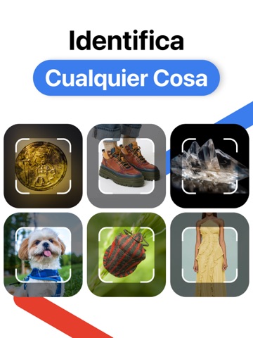 Lens AI: Identify Anything iPad screenshot 1