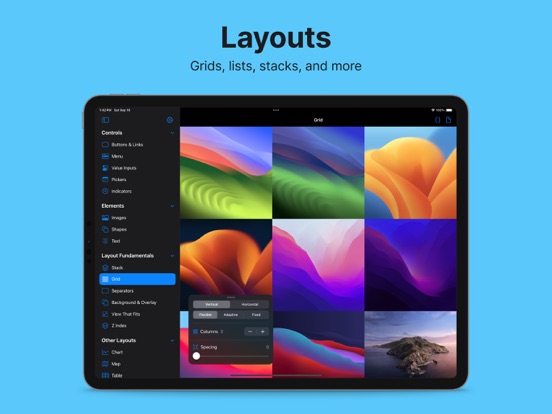 Interactful iPad screenshot 5 - Developer Tools app