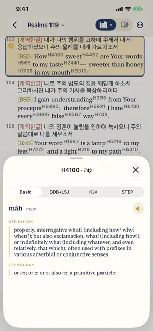 Lantern Bible screenshot 4