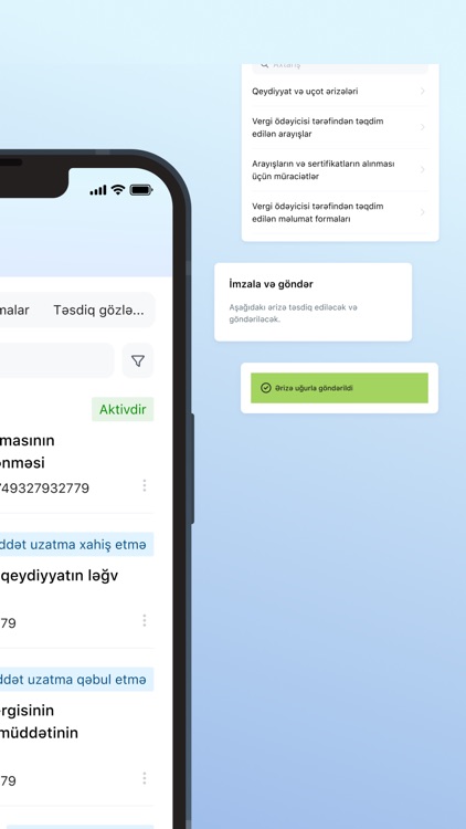 E-Vergi screenshot-3