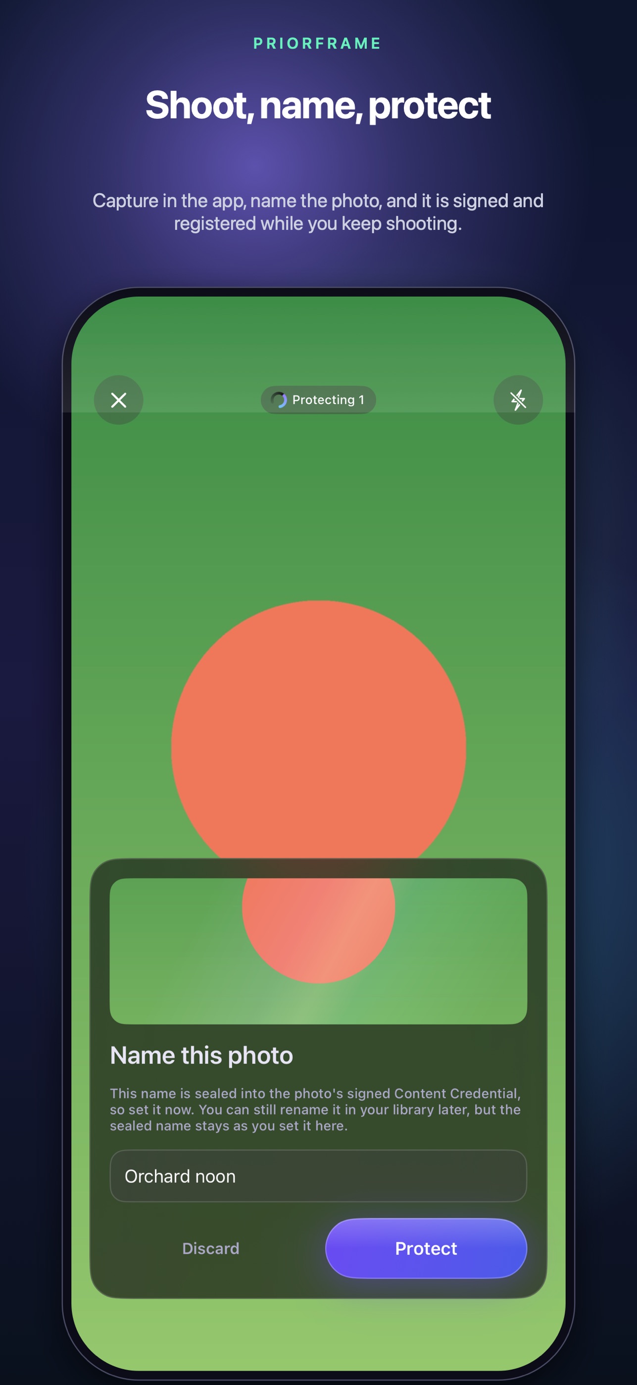 Screenshot 8 of Priorframe