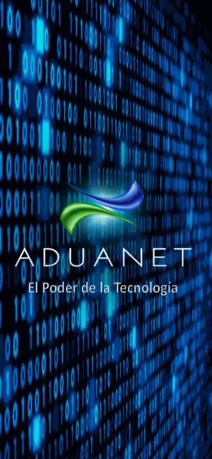 Aduanet screenshot 1